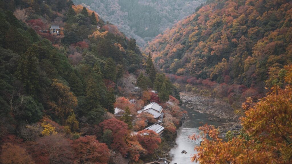 ウェルキャンプ西丹沢、何度か通って分かった「過ごし方」のコツ【リピーター目線】（イメージ写真）